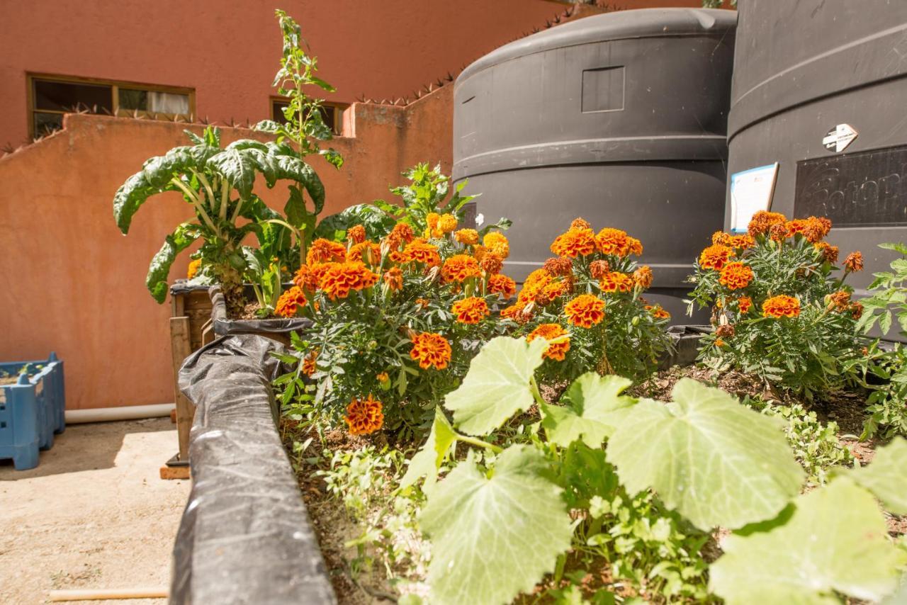 Casa Estrella De La Valenciana Hotel Boutique 瓜纳华托 外观 照片