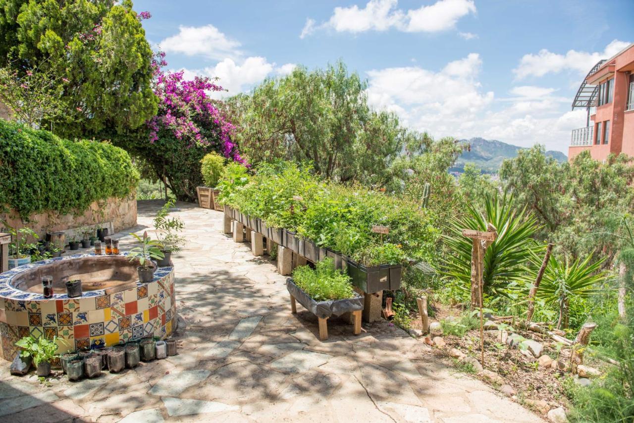 Casa Estrella De La Valenciana Hotel Boutique 瓜纳华托 外观 照片